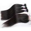 Load image into Gallery viewer, Silkswan Hair Straight Hair Bundles with Closure Human Hair Extension with 4x4 Swiss Lace Closure