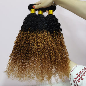 Silkswan Hair Jerry Curly Bundles with 4x4 Lace Closure T1B/30 Ombre Color Human Hair