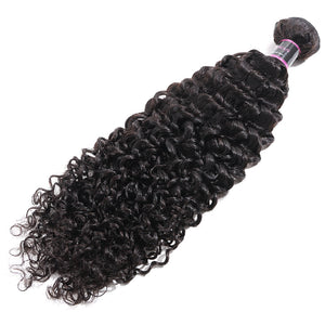 Silkswan Hair Bundles Curly Human Hair Bulk Buy 4PCS 5PCS 10PCS 12PCS Hair Weft