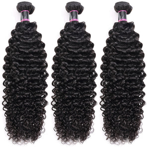 Silkswan Hair Bundles Curly Human Hair Bulk Buy 4PCS 5PCS 10PCS 12PCS Hair Weft