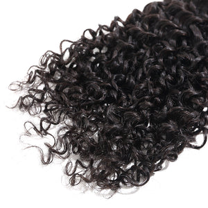 Silkswan Hair Bundles Curly Human Hair Bulk Buy 4PCS 5PCS 10PCS 12PCS Hair Weft