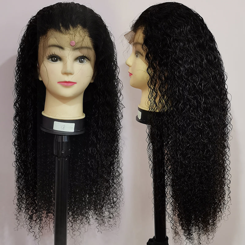 Silkswan Hair Curly Human Virgin Hair Wigs Pre Plucked 13x4 Lace Front Wigs with Baby Hair