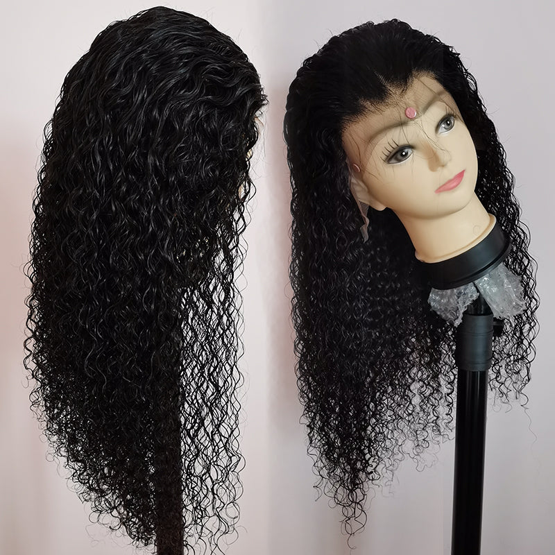 Silkswan Hair Curly Human Virgin Hair Wigs Pre Plucked 13x4 Lace Front Wigs with Baby Hair