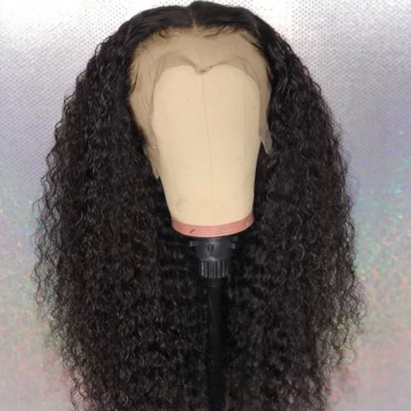 Silkswan Hair Curly Human Virgin Hair Wigs Pre Plucked 13x4 Lace Front Wigs with Baby Hair