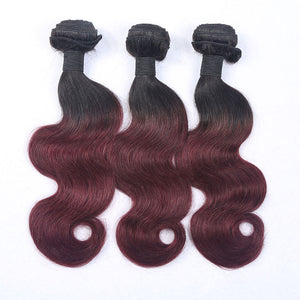 Silkswan Hair Body Wave 1b/99j Bundles with 4x4 Lace Closure Ombre Color Human Virgin Hair